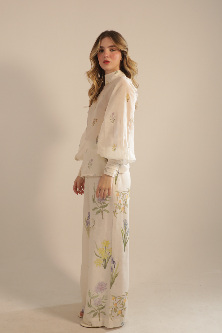 DIONE PANT